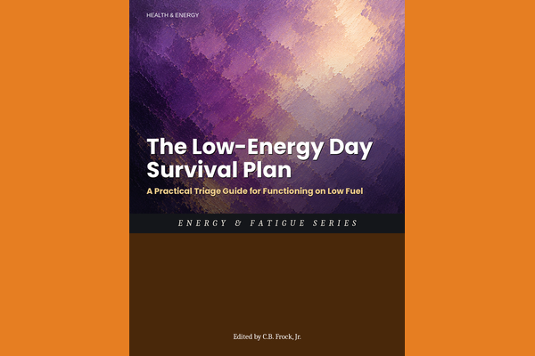 The Low-Energy Day Survival Plan