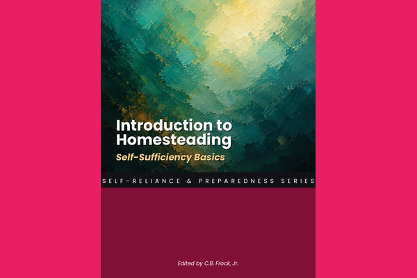 Introduction to Homesteading: Self-Sufficiency Basics