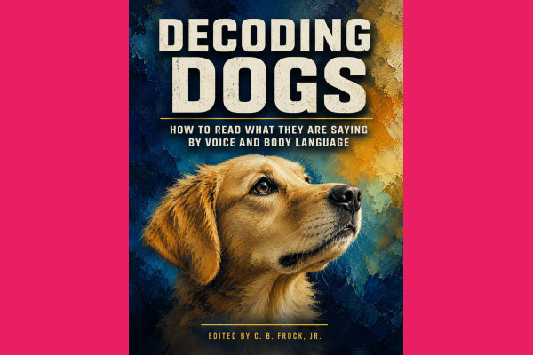 Decoding Dogs