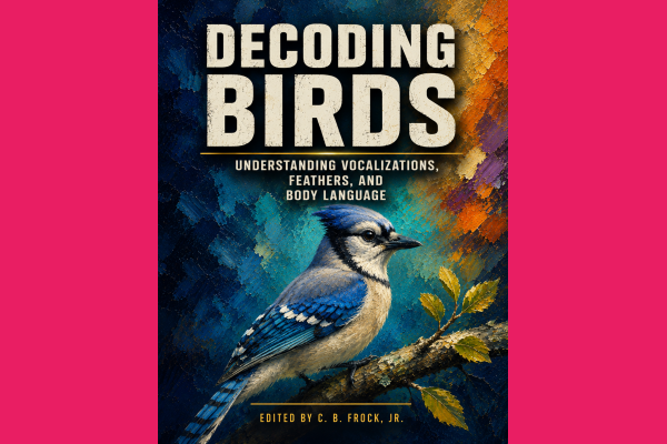 Decoding Birds