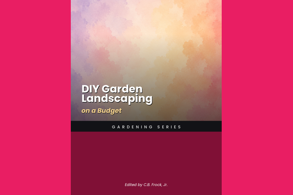 DIY Garden Landscaping on a Budget